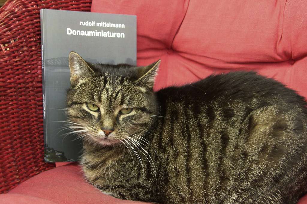 Cora und Donauminiaturen