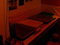 rm's darkroom