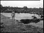 Icon bw8x10/044