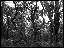 Icon bw8x10/091